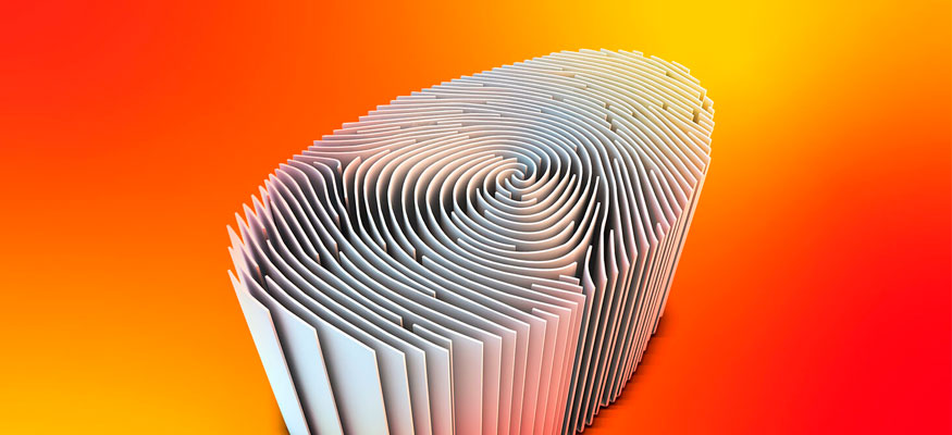 Муляж, сделанный на 3D-принтере, позволяет обманывать сканеры отпечатков пальцев