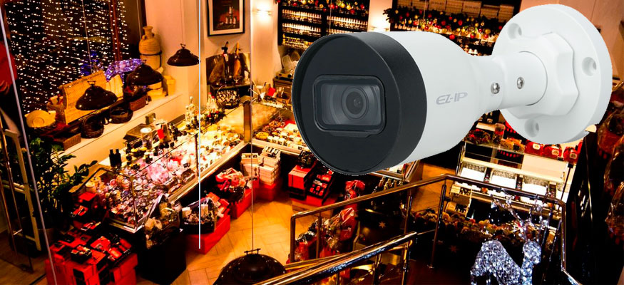 Видеонаблюдение для малых предприятий торговли и сферы услуг